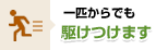 一匹からでも駆けつけます