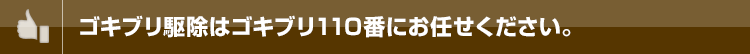 ゴキブリ駆除はゴキブリ110番にお任せください。