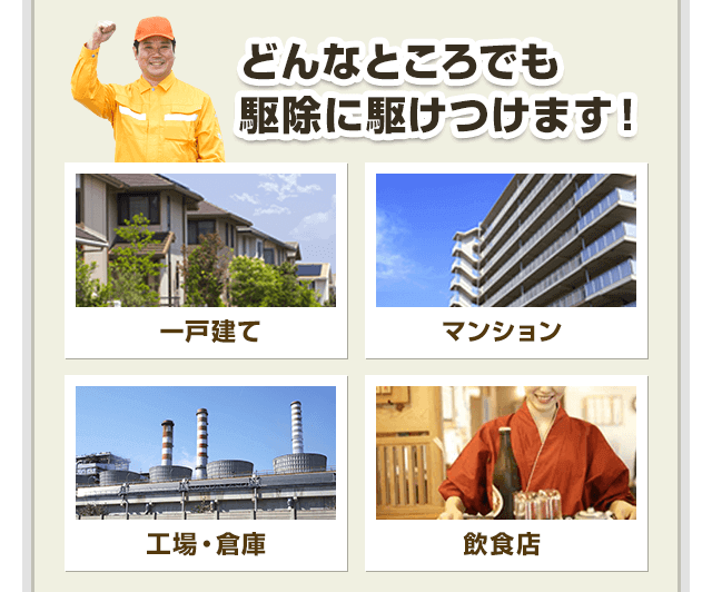 どんなところでも駆除に駆けつけます!