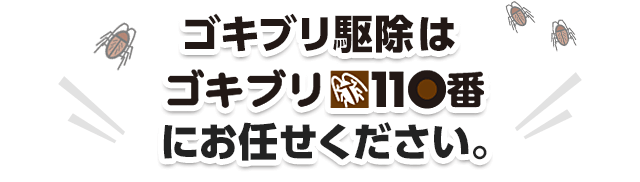 ゴキブリ駆除はゴキブリ110番にお任せください。
